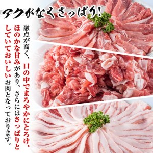 豚肉 黒豚セット 合計 3kg 豚肉 【Rana】A411-v02