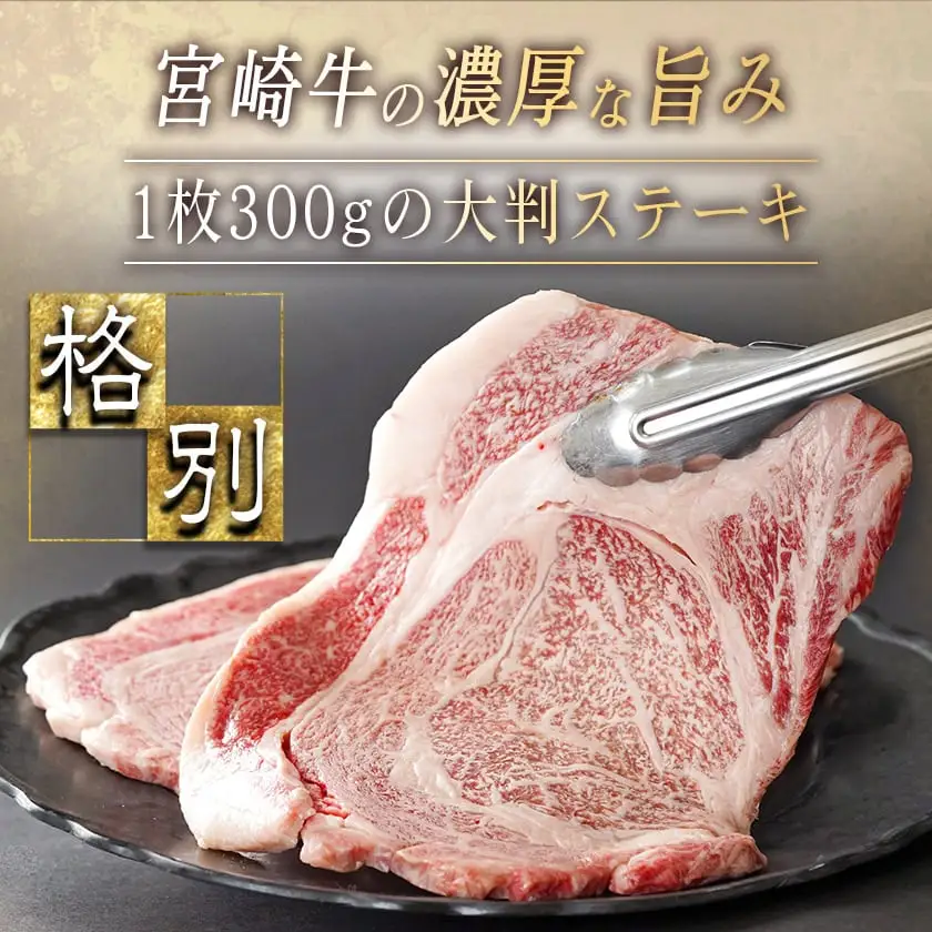 宮崎牛リブロースステーキ300g×2枚〔17-2502〕_(都城市) 都城産 宮崎牛 牛肉 リブロース ステーキ 霜降り 塩こしょう ステーキソース付 300g×2枚 600g