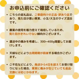 【訳あり】  河内晩柑 10kg(傷み保証300g) 木取り完熟  【発送期間: 2024年８月～ なくなり次第終了】 柑橘 みかん 愛南ゴールド 蜜柑 グレープフルーツ ゼリー ジュース アイス 果物 フルーツ サイズミックス 規格外 吉本農園