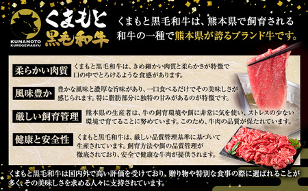 牛肉スライス 黒毛和牛 特上 1kg 牛肉スライス