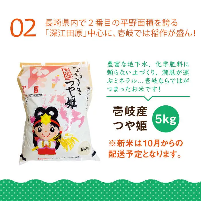 【全2回定期便】壱岐産米（つや姫）5kg・旬の野菜 5品《壱岐市》【壱岐市農業協同組合】お米 季節 セット ごはん[JBO132] 九州