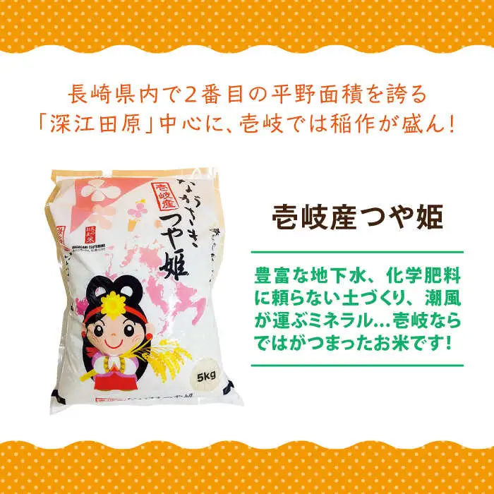 【全2回定期便】壱岐産 つや姫 5kg《壱岐市》【壱岐市農業協同組合】米 お米 ごはん 甘み 旨味 [JBO135] 九州