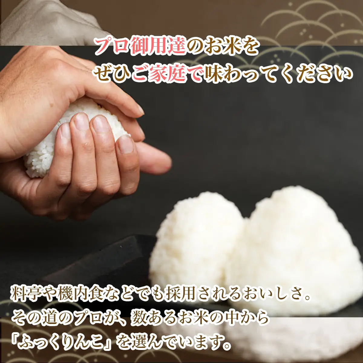 【先行予約】【令和8年産米】ふっくりんこ5kg HOKY004