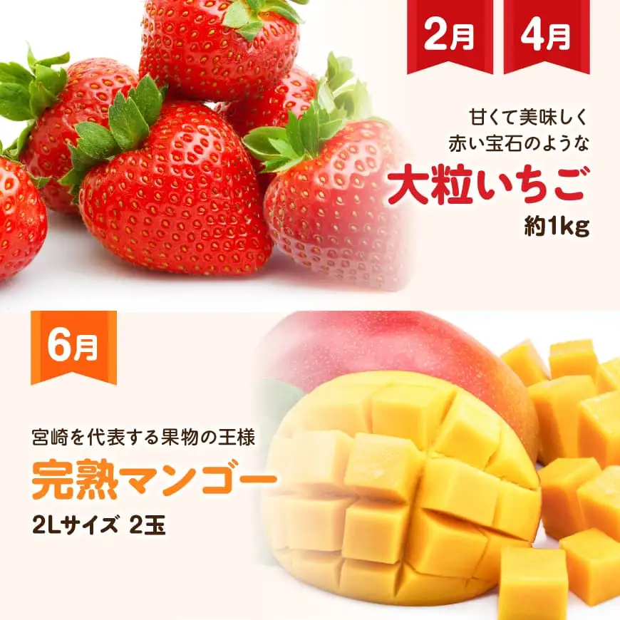 【 全6回定期便 】 プレミアム デラックス 定期便 【偶数月】 【 川南町産 いちご 完熟 マンゴー ぶどう シャイン マスカット メロン 】