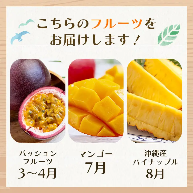 フルーツ 定期便 全 3回 名護パイン園 178-5