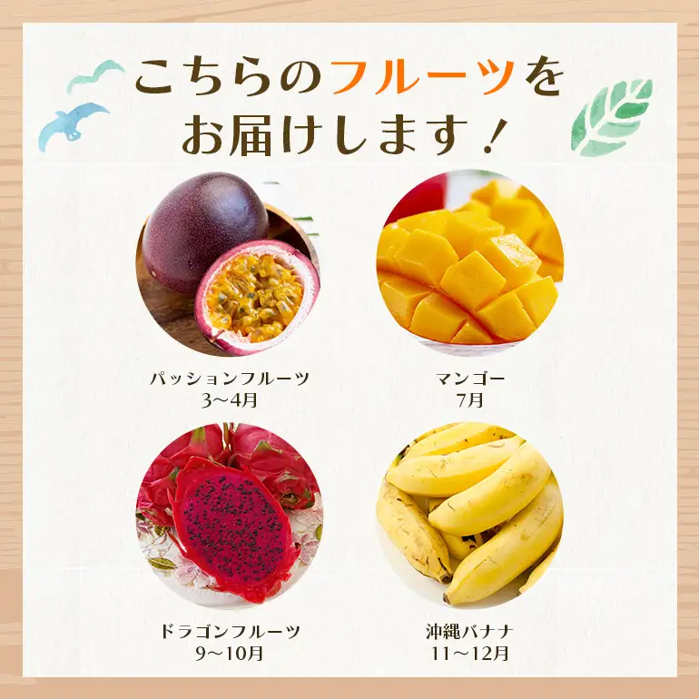 フルーツ 定期便 全 4回 名護パイン園 178-7