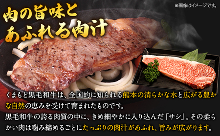 くまもと黒毛和牛 サーロインステーキ  750g  牛肉 冷凍 《30日以内に出荷予定(土日祝除く)》 くまもと黒毛和牛 黒毛和牛 冷凍庫 個別 取分け 小分け 個包装 ステーキ肉 にも サーロインステーキ 美味しい牛肉 熊本牛肉 ジューシー牛肉 贅沢な牛肉 