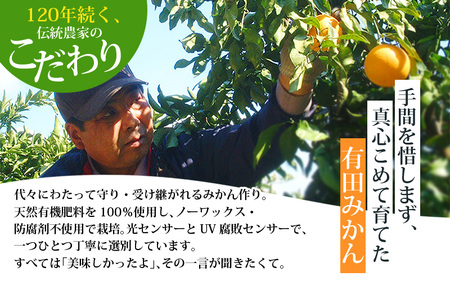 【1月発送予約】有田みかん 約5kg＋150g(傷み補償分) みかん【nuk160-01B】