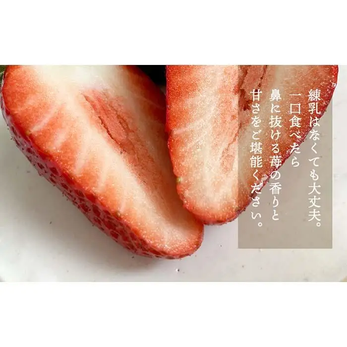 特大まりひめイチゴ 朝摘 6個～11個入×2パック［2027年1月中旬頃より発送］［先行予約］［KT3］