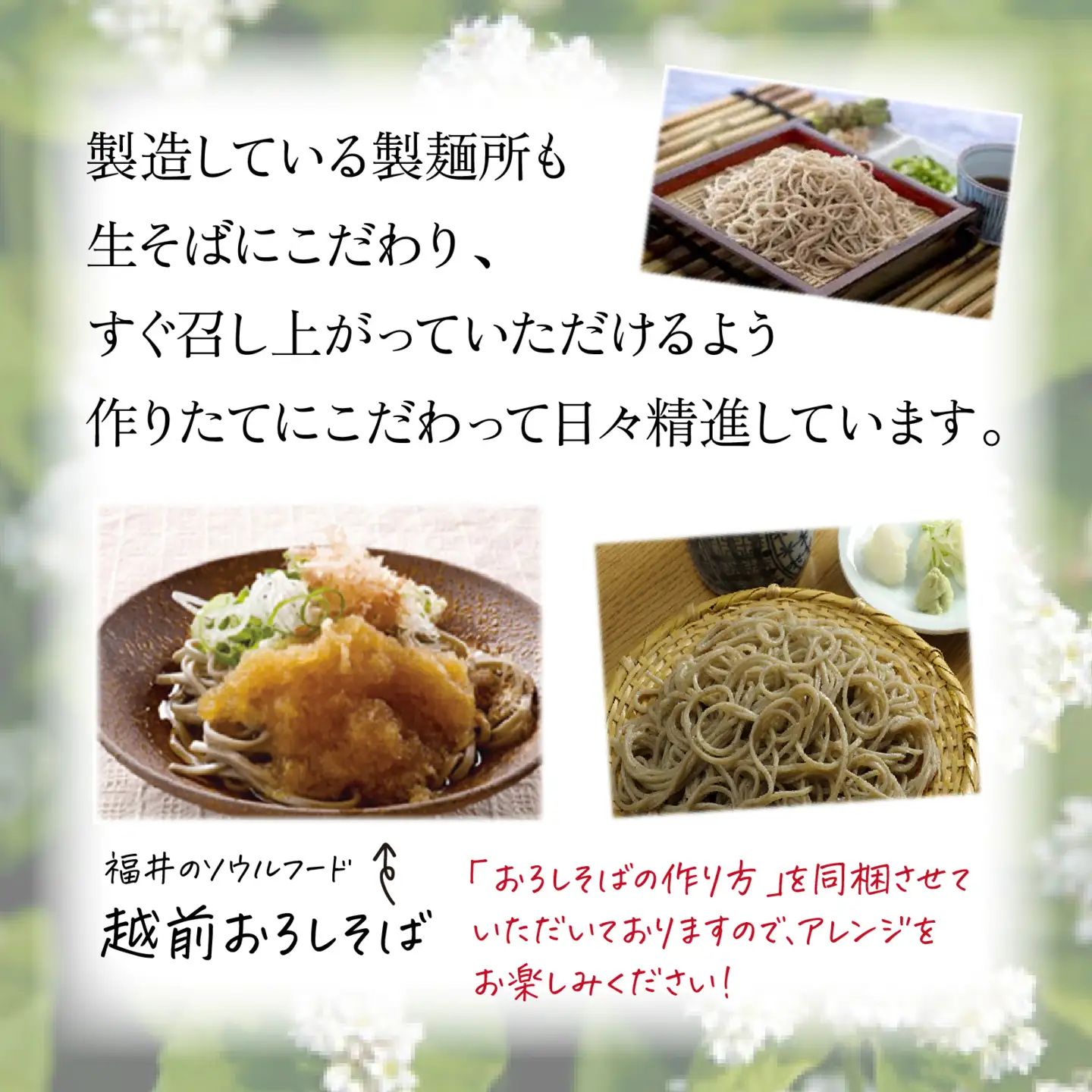 越前生そば 14食入（110g/1食）だし付 [A-067003] / そば そば