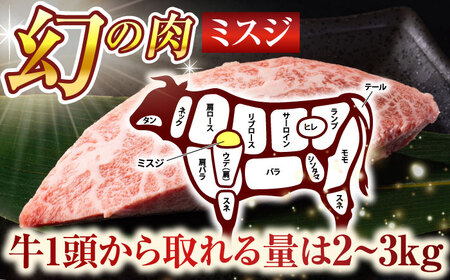 長崎和牛ミスジステーキ　約500g（100g×5p）ミスジ[QBS030]