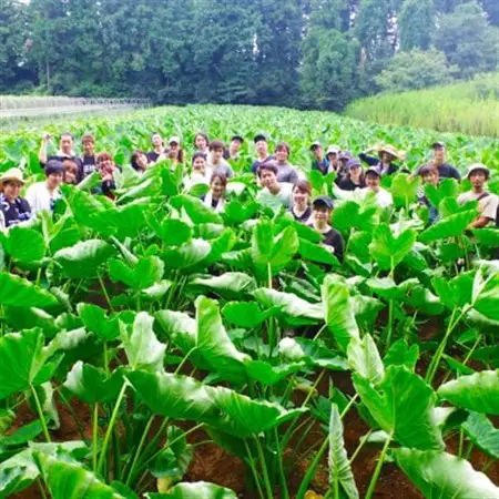 採れたて直送!旬のお野菜セット BIGサイズ(10品目以上)【種類おまかせ】_野菜   _【配送不可地域：離島】【1329348】