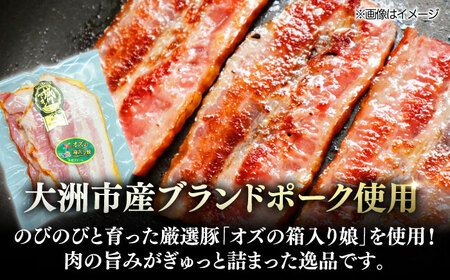 ベーコン【全3回定期便】 スライス 120g×3個セット ベーコン[AGAZ025]