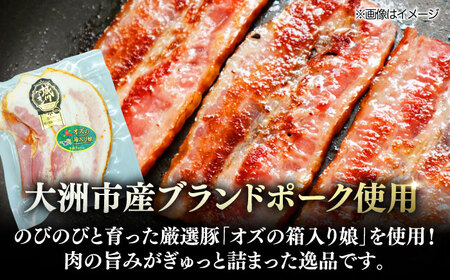 ベーコン【全12回定期便】スライス（七味入り）120g×6個セット ベーコン[AGAZ039]