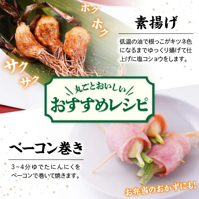 つのにんにく 10本 × 4袋 計40本 発芽にんにく