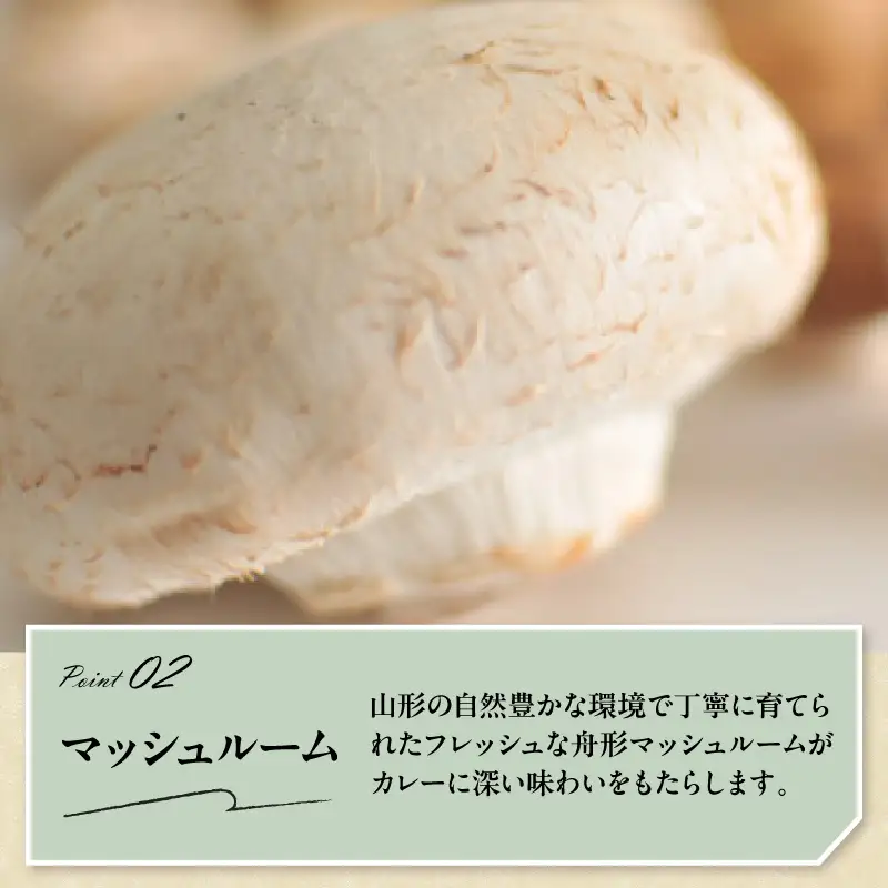 黒毛和牛 極旨 カレー 180g×8食 ビーフカレー