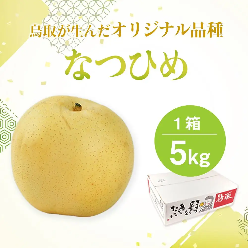 梨 なつひめ 鳥取産 5kg× 1箱