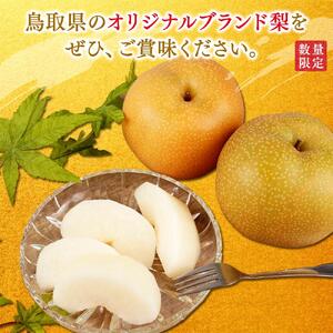 梨 秋甘泉 鳥取産 5kg× 1箱