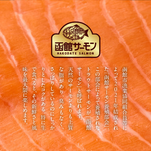 函館サーモン（750g）養殖 サーモン 新鮮_HD231-013