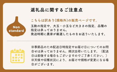 にんにく　 訳あり（規格外）約1kg〈hi-0042-007〉