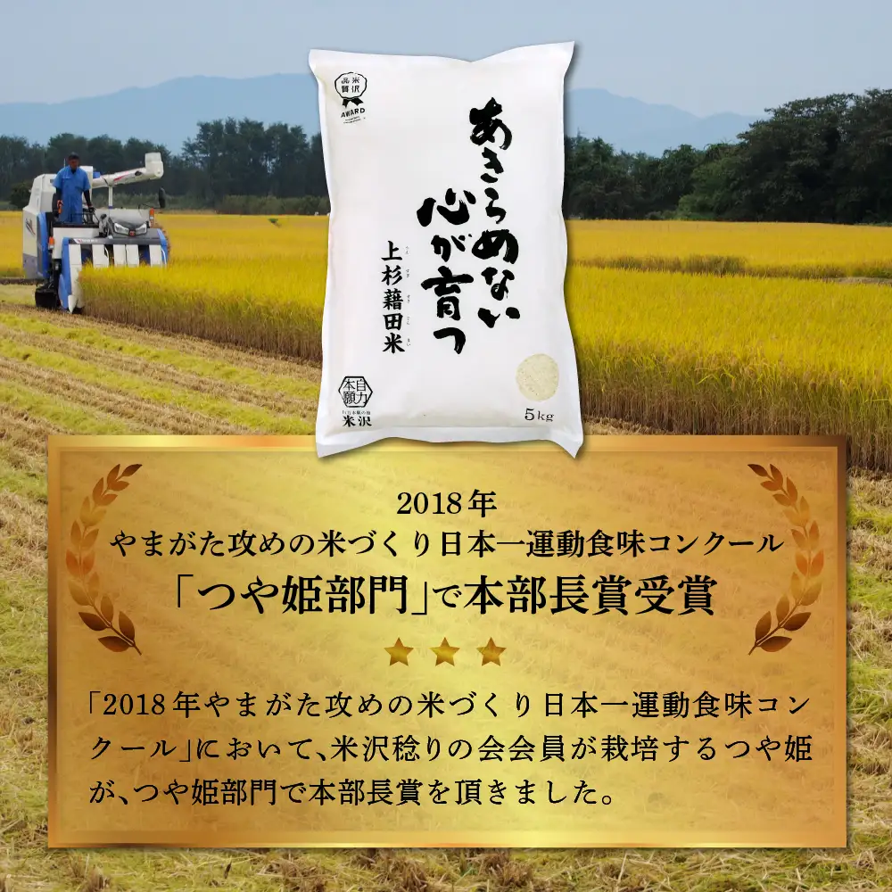 【先行予約】隔月定期便 全6回 つや姫 5kg × 6回 計 30kg 〈2026年10月から偶数月配送〉特別栽培米 節減対象農薬：当地比6割減 化学肥料：当地比5割減 ブランド米 産地直送 2026年産 精米 米 山形 ご飯 山形県 米沢市