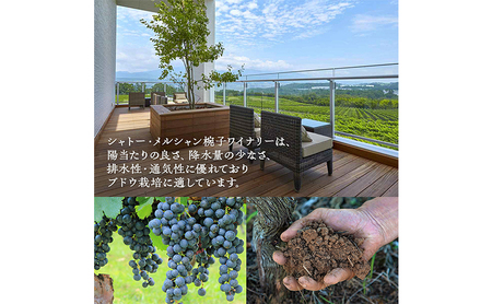 ワイン 椀子シラー 飲み比べ 750ml 2本 セット 赤ワイン お酒 酒 アルコール