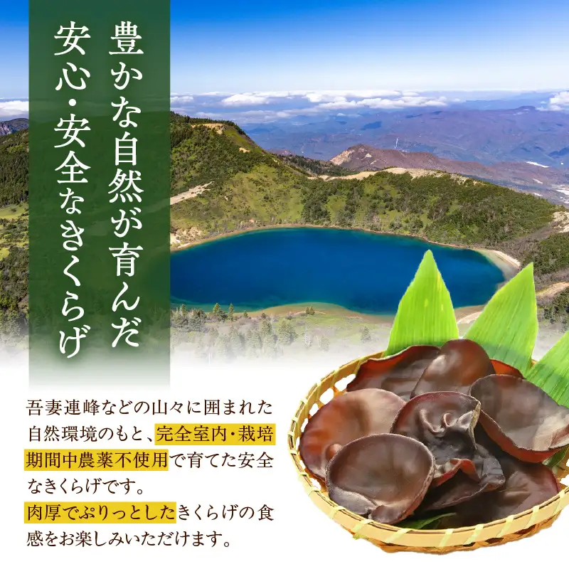 期間限定 生きくらげ 200g×3パック 計600g キクラゲ