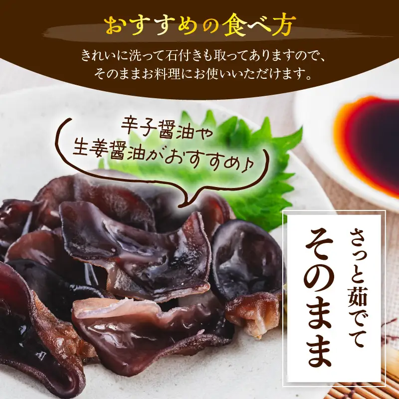 期間限定 生きくらげ 乾燥きくらげ セット