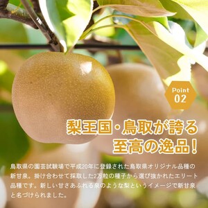 Y304 新甘泉（秀） 2.5kg