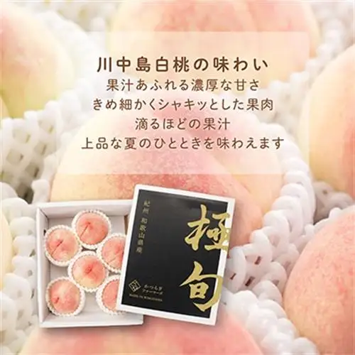 先行受付!　桃【川中島白桃】　(大玉特秀品)　約2kg　6～9個入　こだわり農家厳選!【配送不可地域：離島】【1525328】