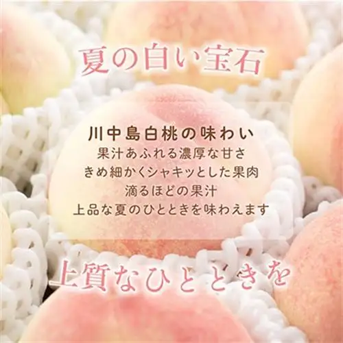 先行受付!　【川中島白桃】大玉特秀品　食べきりやすい3個入り　こだわり農家厳選!【配送不可地域：離島】【1525341】