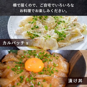 【限定500セット】 定期便 6回 小島水産 お刺身 海鮮 魚介 少量コース | 魚介定期便 海鮮定期便 6ヶ月海鮮定期便 お刺身定期便 KS30000