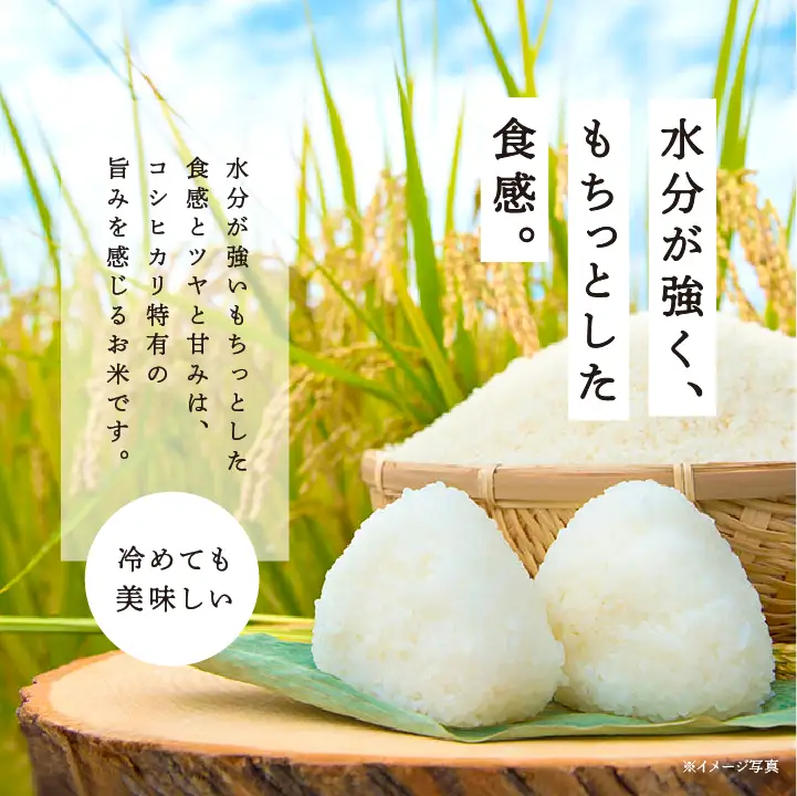 米 定期便 3ヶ月 JAふくしま未来 コシヒカリ 5kg【こらんしょ市】