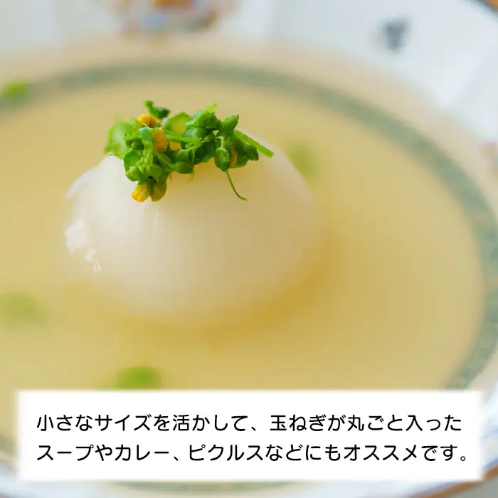 【訳あり】小さな淡路島玉ねぎ 2Sサイズ 10kg　玉ねぎ