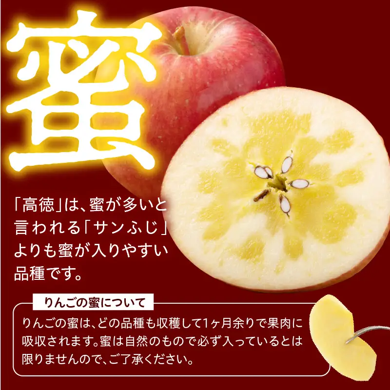 【先行予約】令和8年産 高徳りんご 秀以上 約1.8kg りんご