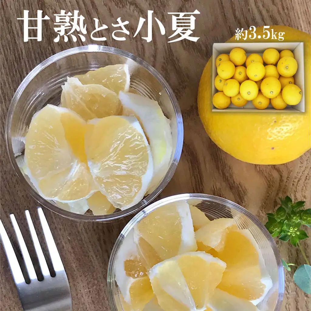 【先行予約】甘熟とさ小夏 家庭用（2S~2Lサイズ）約3.5kg〈2027年4月上旬-2027年5月中旬頃発送〉高知県土佐市 【株式会社SHIRAKI】 [BQAI031]