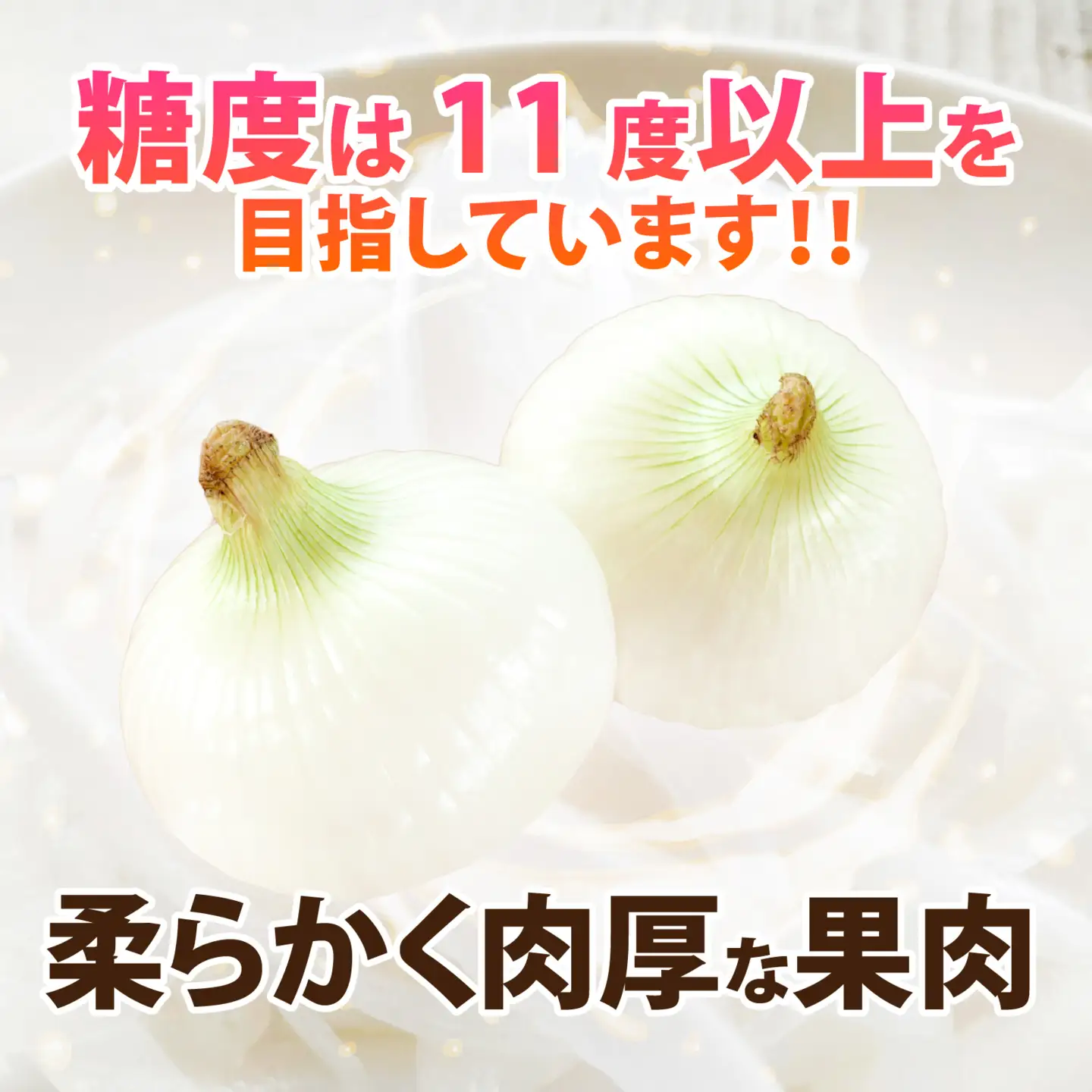 【先行予約】淡路島産 新玉 フルーツ玉ねぎ 8kg【サイズ色々】 / 玉ねぎ