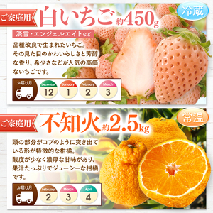 【 定期便 6回 】 2ヵ月毎にお届け！プチっと 堪能 ！ 人気 フルーツ |（ いちご 白いちご みかん 不知火 スイカ ぶどう 梨 柿 果物 ） | フルーツ定期 フルーツ定期便 定期便 果物 フルーツ 熊本県 玉名市