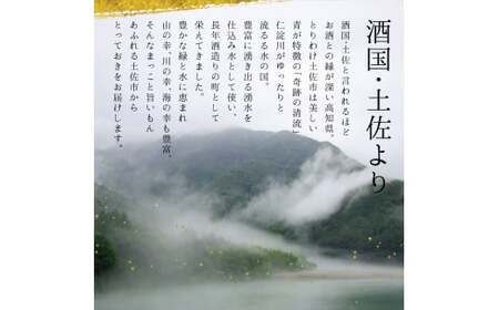 【3回定期便】純米吟醸生原酒 CEL-24 720ml 計2160ml ／ 生酒 毎月1本×3回 定期便 お酒 酒 さけ 日本酒 アルコール 生原酒 アルコール度数14度 14% 甘口 フルーティ【株式会社とさもん】 [BQAE071]