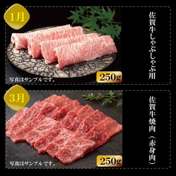 【定期便】佐賀牛 (年6回/奇数月お届け) やまとフーズ 単身・おひとり様用  Q096-004
