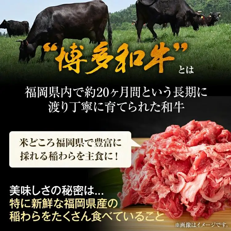 訳あり 博多和牛切り落とし 500g 黒毛和牛 お取り寄せグルメ お取り寄せ 福岡 お土産 九州 福岡土産 取り寄せ グルメ MEAT PLUS CP015