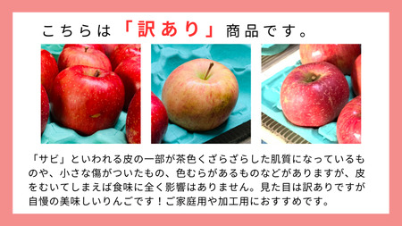 【訳あり】青森りんご田子の家庭用サンふじ 約10kg （12月出荷）