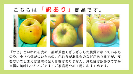 【訳あり】青森りんご田子の家庭用ぐんま名月 約5kg （11月出荷）