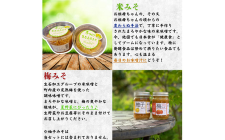 【手作り・無添加】「ふるさとの愛情詰め合わせ 食卓セット1」～ みそ・ジャム・焼肉のタレ ～  /調味料 味噌汁 パン BBQ スイーツ 料理 米味噌 梅味噌 ブルーベリー イタドリ ゴンパチ 和歌山【ois629-set-1】