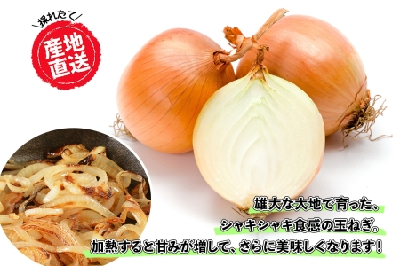 《期間限定》北海道 士幌産 たまねぎ 玉ねぎ タマネギ 玉ネギ 玉葱 10kg (2026年12月発送予定)  採れたて オニオン 旬の野菜 期間限定 新鮮 野菜 産地直送 産直 お取り寄せ 送料無料 十勝 士幌町 【V07】
