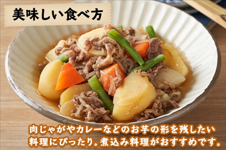 【10月より順次発送予定】北海道 じゃがいも メークイン 10kg 北海道産 十勝産 ジャガイモ 芋 いも ポテト お取り寄せ まとめ買い 送料無料 十勝 士幌町【V05】