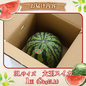 鹿児島県産 大玉スイカ(3Lサイズ・1玉) 国産 果物 スイカ すいか 西瓜 フルーツ スイーツ スムージー ジュース【松永青果】akn053-15