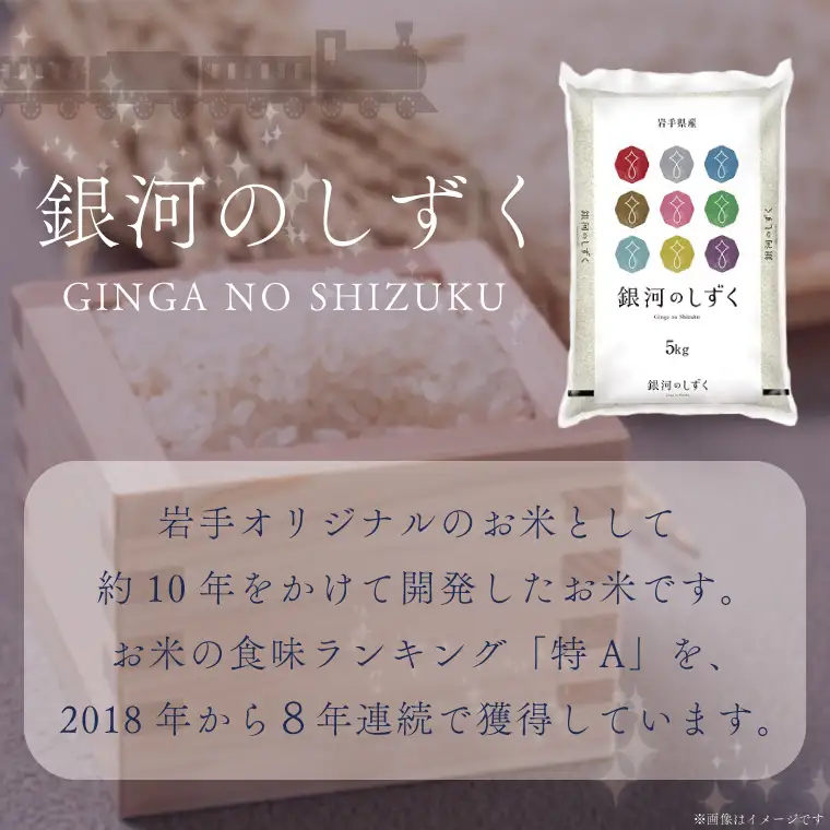 【定期便 3ヶ月】無洗米 令和8年産 銀河のしずく 10kg 無洗 新米 (AE196)