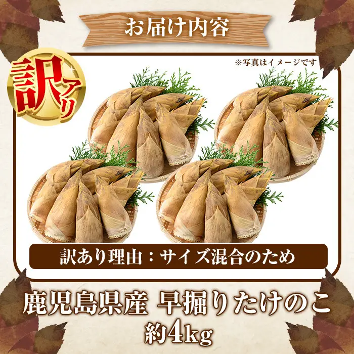 ＜先行予約受付中！2026年12月上旬以降順次発送予定＞訳あり！鹿児島県産 早掘りたけのこ(約4kg) 国産 野菜 たけのこ タケノコ 筍 旬 煮物 水煮 天ぷら つくだ煮【松永青果】akn053-35