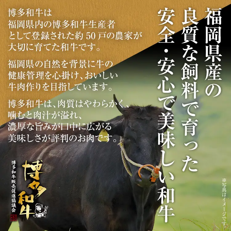博多和牛 A-5等級 ヒレ×シャトーブリアンステーキ520g（4枚切）ステーキソース4袋付